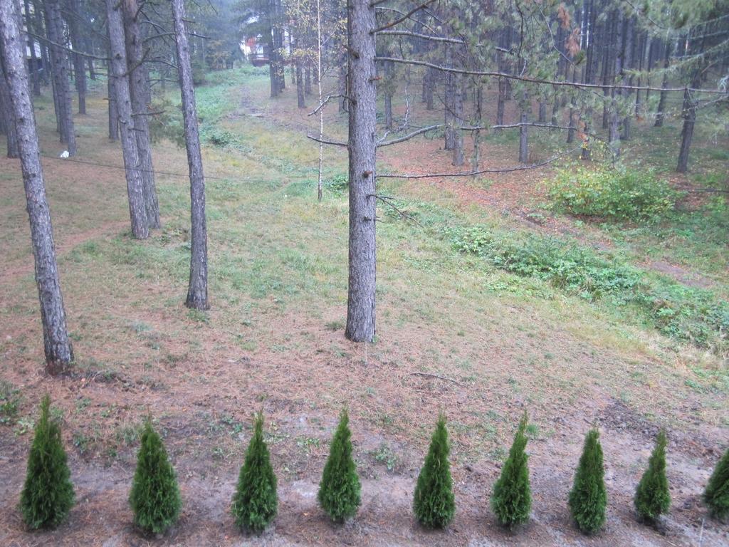 Apartment Kiki Zlatibor Cameră foto